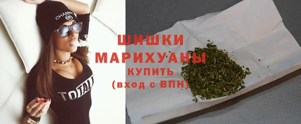винт Богданович