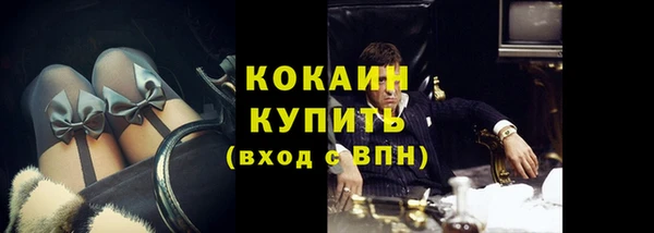 винт Богданович