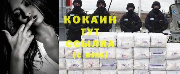 винт Богданович